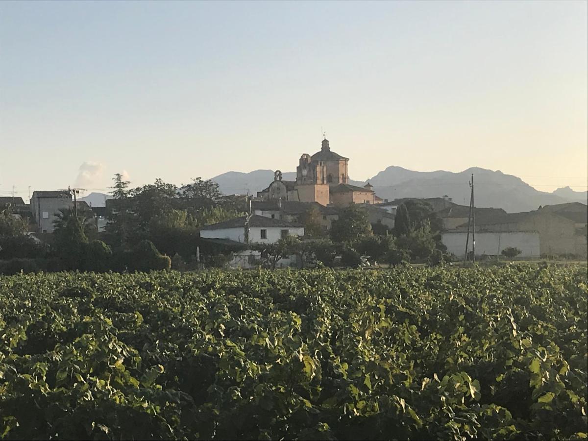 Cal Pubill Villa Ginestar Buitenkant foto